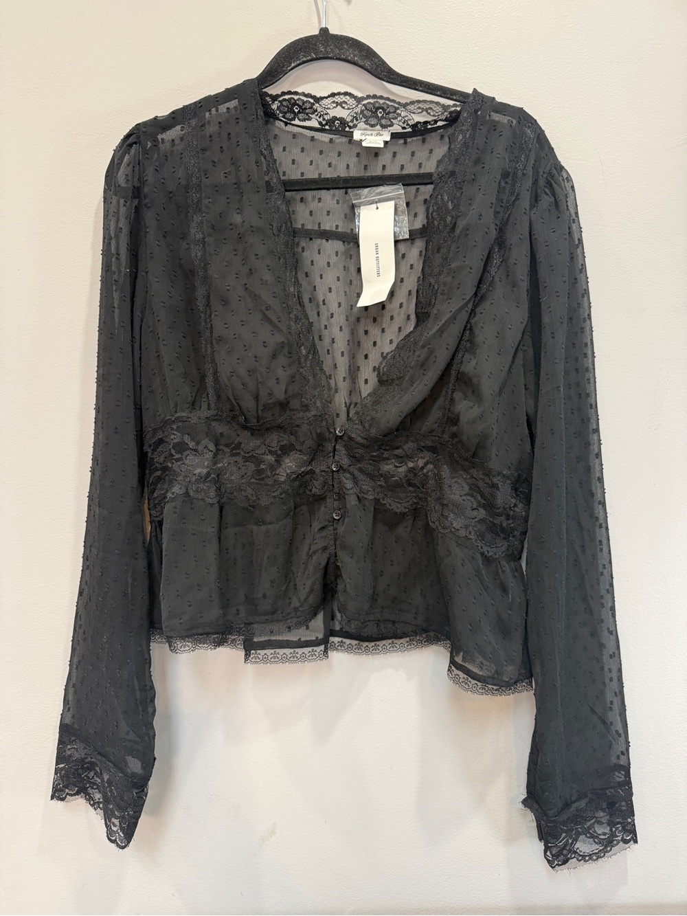 Urban Outfitters Sheer Black Lace-Trim Blouse